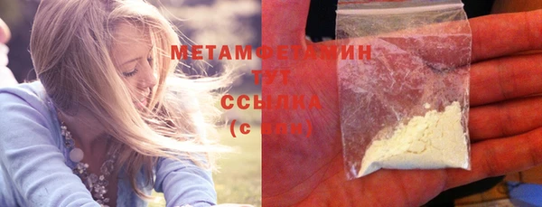 крисы Каменка