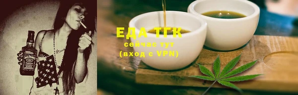 индика Белая Холуница