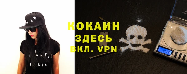 тгк Касимов