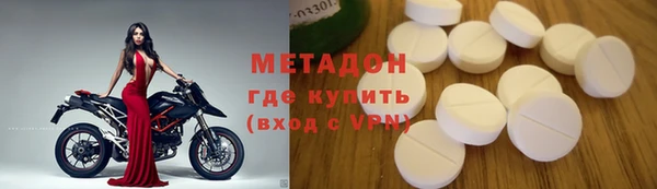индика Белая Холуница