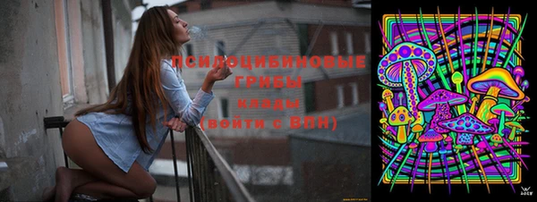 синтетический гашиш Карпинск