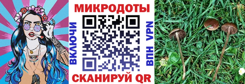 магазин    Лениногорск  Псилоцибиновые грибы мухоморы 